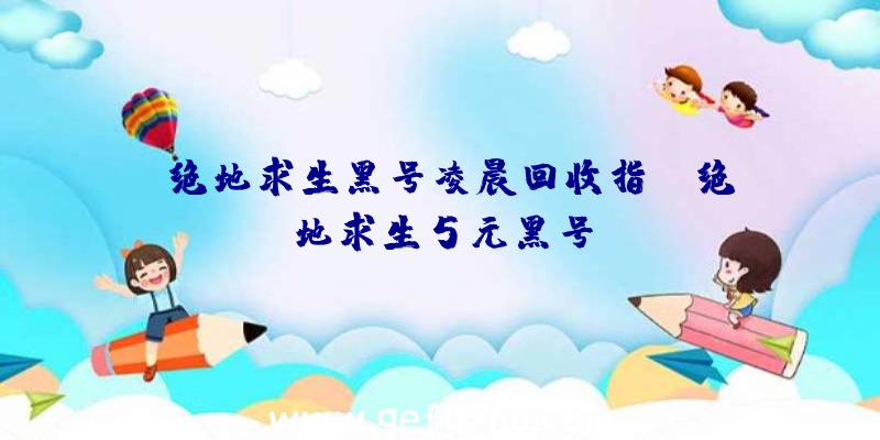 「绝地求生黑号凌晨回收指」|绝地求生5元黑号